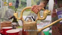 蒙山派携龙行十八式登陆第22届东盟博览会引多方好评